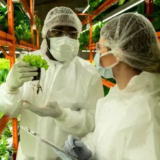 Certificación ISO 9001 Agroindustria